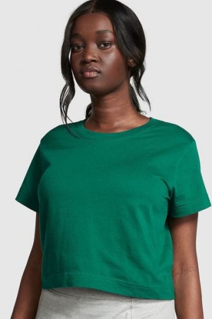 Dark Red / Green Victorias Secret Short Sleeve Shrunken T Shirts | 654012-SQV